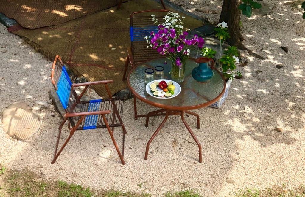 Bed and Breakfast Casa "La 44" Mérida Zewnętrze zdjęcie
